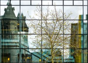 Listed Building Double Glazing In Edinbrugh